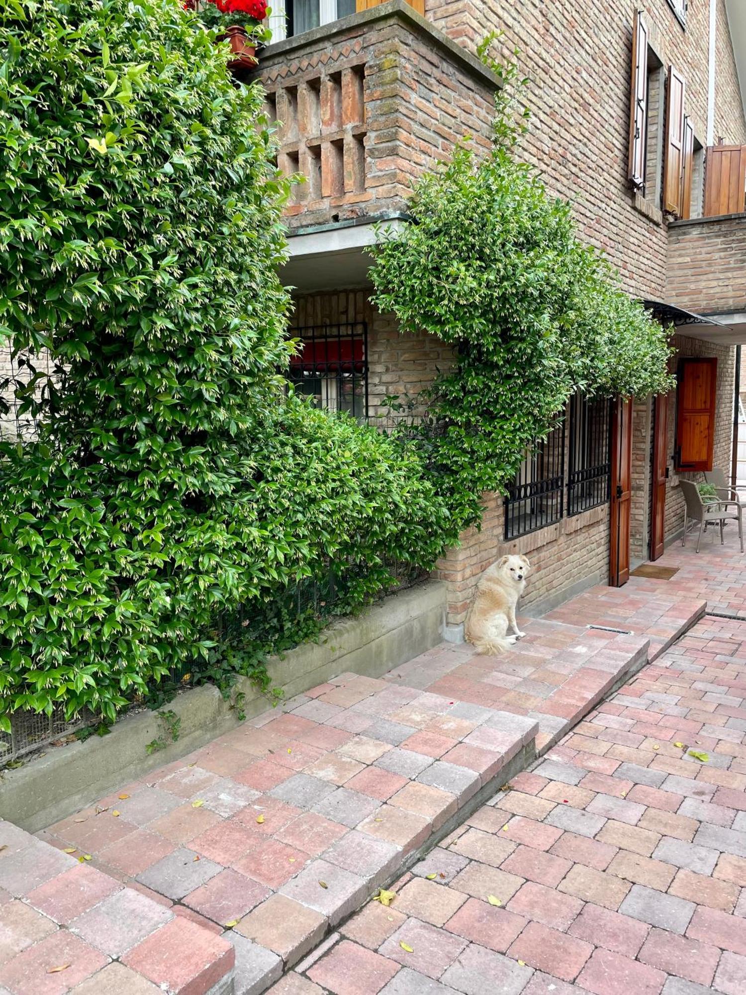 Casa Matilde Piano Terra 100Mq Con Parking E Piscina Appartement Ferrara Buitenkant foto